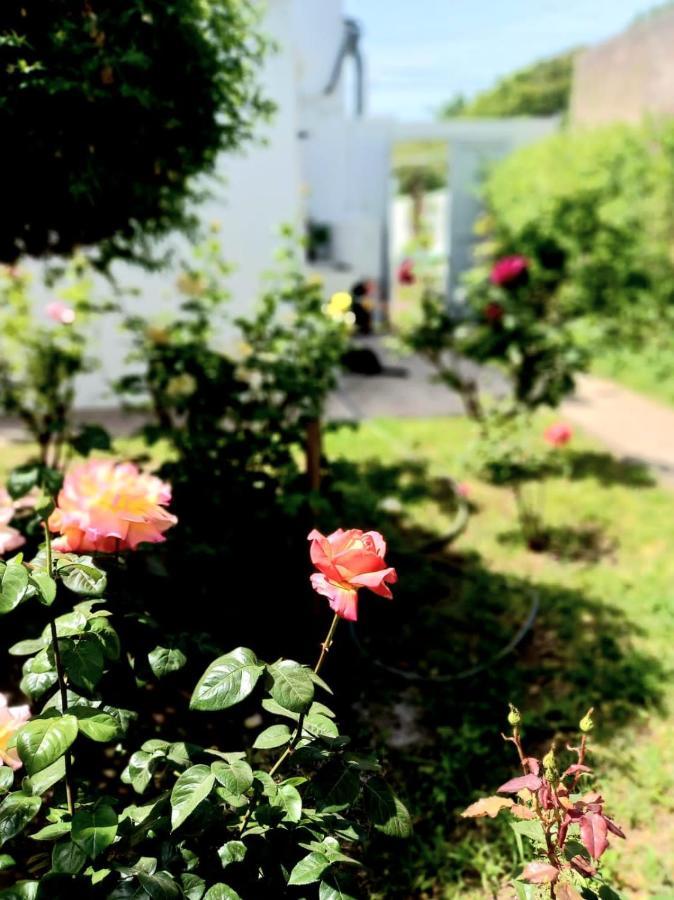 El Ceibo Apartman Carhué Kültér fotó